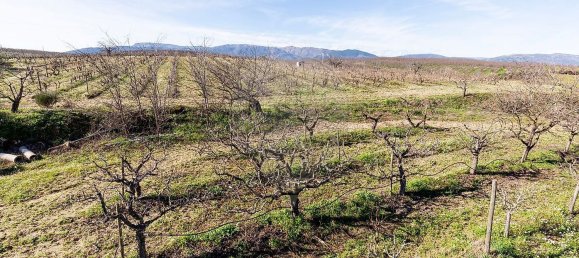 3 bedrooms House in Peraboa, Portugal No. 66603 36