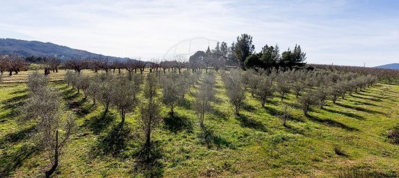 3 bedrooms House in Peraboa, Portugal No. 66603 32