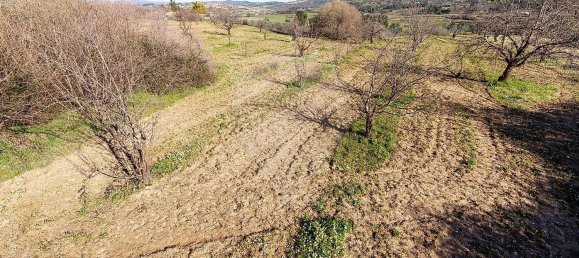 3 bedrooms House in Peraboa, Portugal No. 66603 46