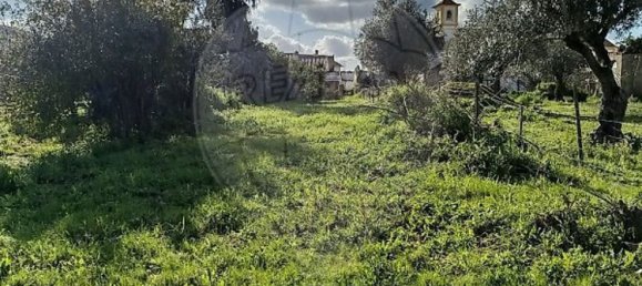 Земельный участок 600м² в Абрантиш, Португалия № 24048 4