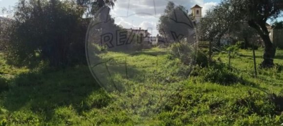 Земельный участок 600м² в Абрантиш, Португалия № 24048 5