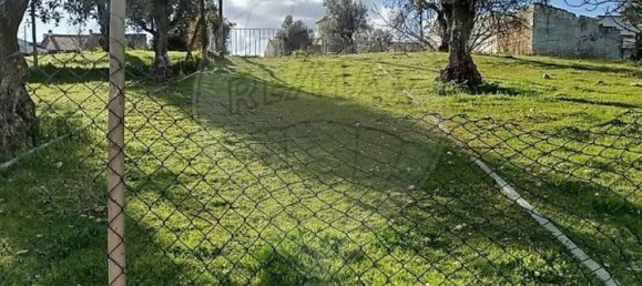 Земельный участок 600м² в Абрантиш, Португалия № 24048 10