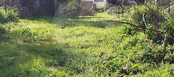 Земельный участок 600м² в Абрантиш, Португалия № 24048 6