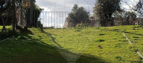 Земельный участок 600м² в Абрантиш, Португалия № 24048 3