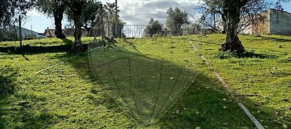 Земельный участок 600м² в Абрантиш, Португалия № 24048 2