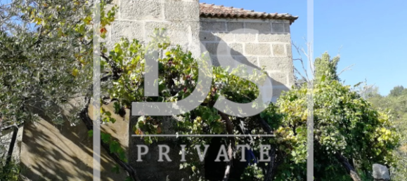 3 Schlafzimmer Haus in Baiao, Portugal, Nr. 78742 11