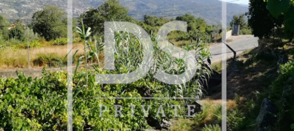 3 Schlafzimmer Haus in Baiao, Portugal, Nr. 78742 13