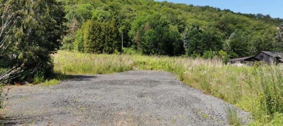 Terrain à Sachsische Schweiz-Osterzgebirge, Germany No. 135927 2