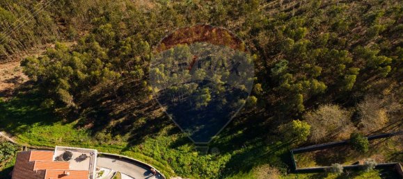 3080m² Land in Agueda, Portugal No. 73868 9