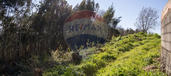 3080m² Land in Agueda, Portugal No. 73868 6