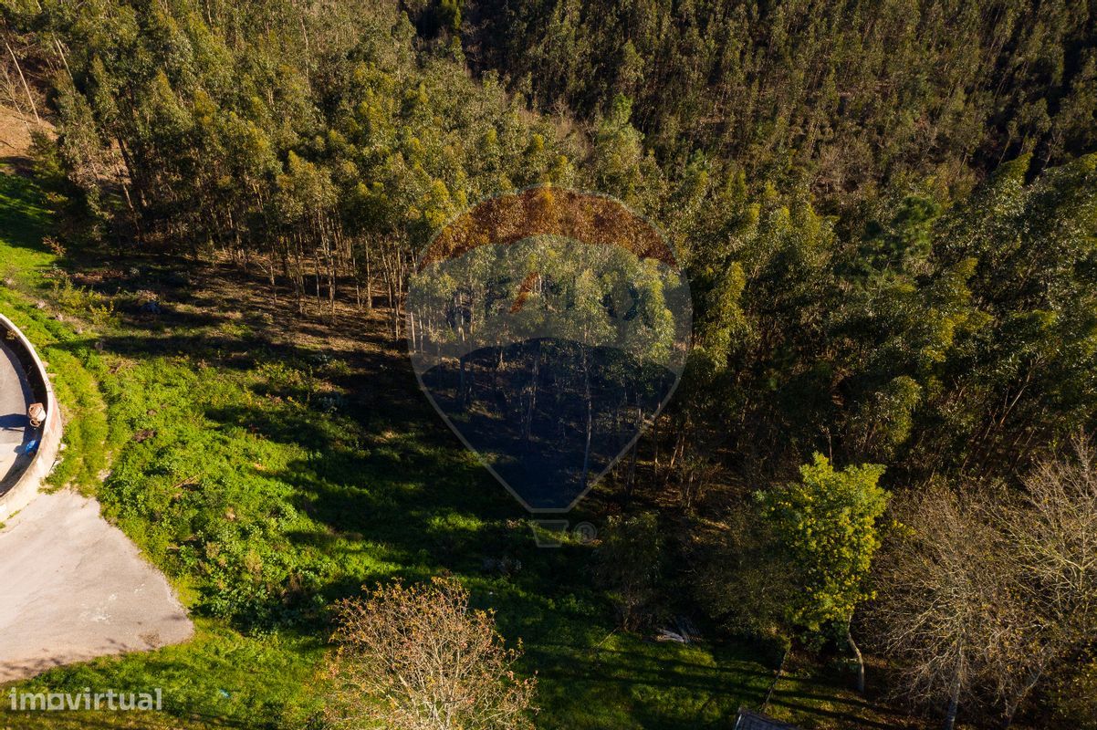 3080m² Land in Agueda, Portugal No. 73868