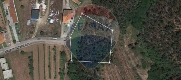 3080m² Land in Agueda, Portugal No. 73868 12