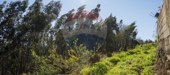 3080m² Land in Agueda, Portugal No. 73868 3