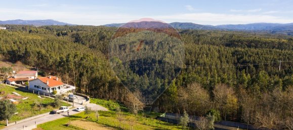 3080m² Land in Agueda, Portugal No. 73868 5