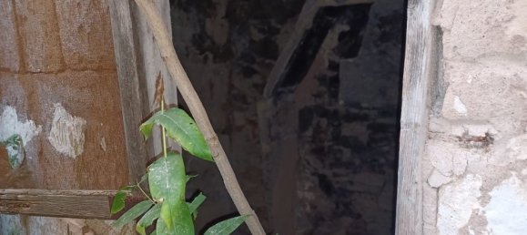 Casa de 1 dormitorio en Son Servera, Spain No. 75392 25