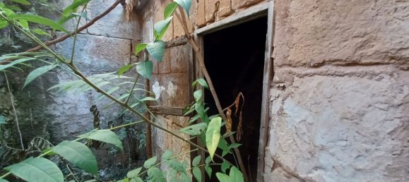 Casa de 1 dormitorio en Son Servera, Spain No. 75392 22