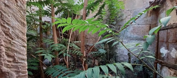 Casa de 1 dormitorio en Son Servera, Spain No. 75392 16