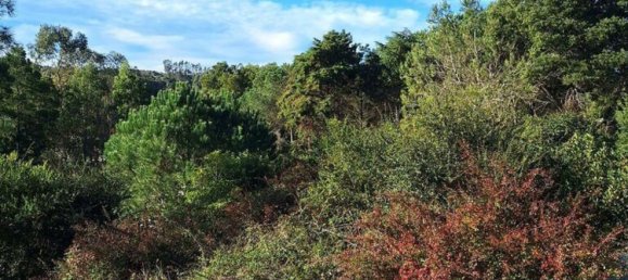 Casa de 5 dormitorios en Sintra, Portugal No. 45878 20