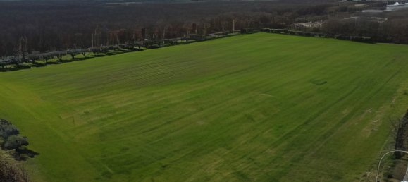 30000m² Land in Montepulciano, Italy No. 174326 3