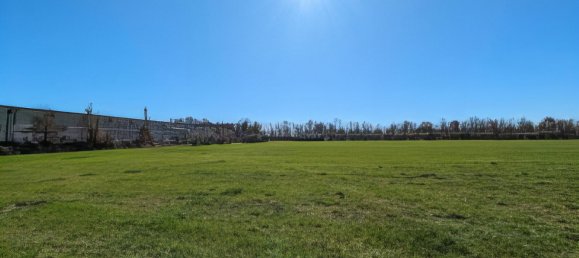 30000m² Land in Montepulciano, Italy No. 174326 10