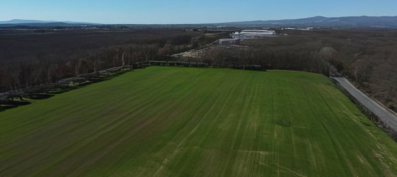 30000m² Land in Montepulciano, Italy No. 174326 4