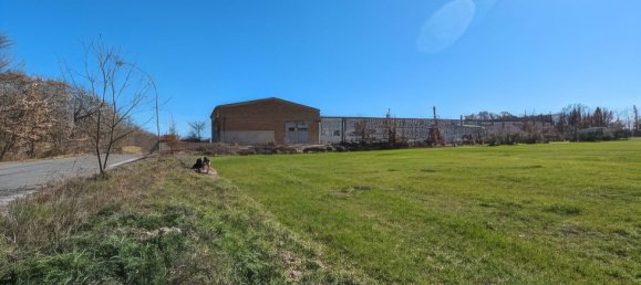 30000m² Land in Montepulciano, Italy No. 174326 11