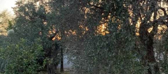 3 Schlafzimmer Gewerbliche Immobilie in Moni, Cyprus, Nr. 20134 6