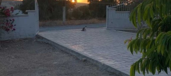 3 Schlafzimmer Gewerbliche Immobilie in Moni, Cyprus, Nr. 20134 3