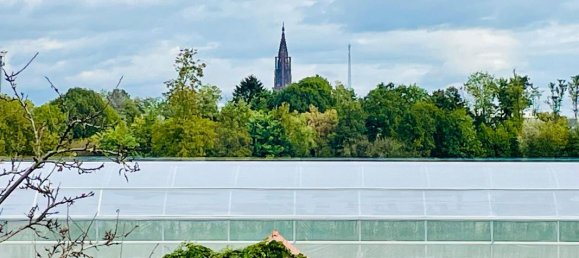 Duplex T4 em Strasbourg, France N.º 237199 13