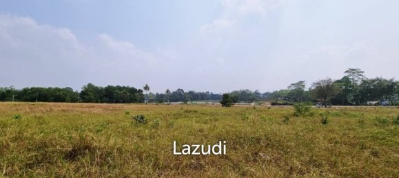 Gewerbliche Immobilie in Pattaya, Thailand 24000m², Nr. 15412 4