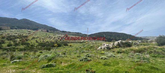 22000m² Land in Palermo, Italy No. 72347 11