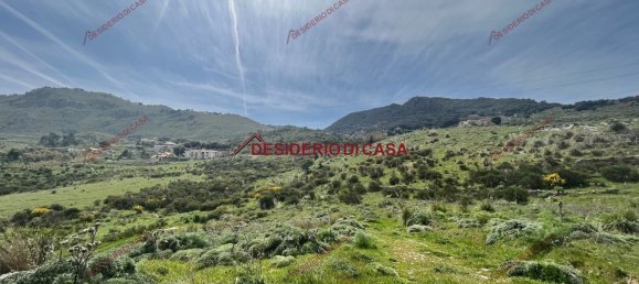 22000m² Land in Palermo, Italy No. 72347 2