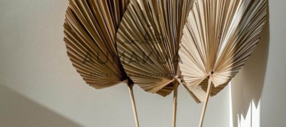 3 bedrooms Villa in Faro, Portugal No. 150731 18