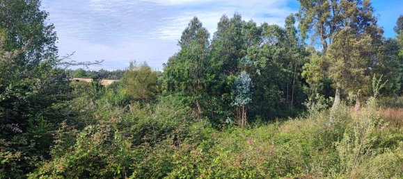 490m² Land in Vila Nova de Gaia, Portugal No. 161468 2