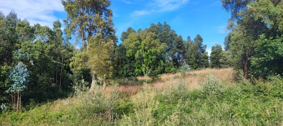 490m² Land in Vila Nova de Gaia, Portugal No. 161468 4