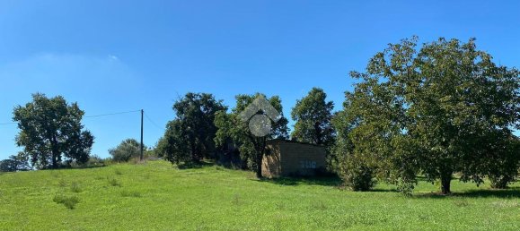 6 rooms House in Fabrica di Roma, Italy No. 235138 31