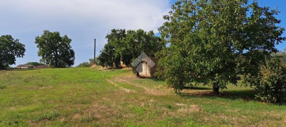 6 rooms House in Fabrica di Roma, Italy No. 235138 23