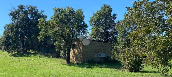 6 rooms House in Fabrica di Roma, Italy No. 235138 8