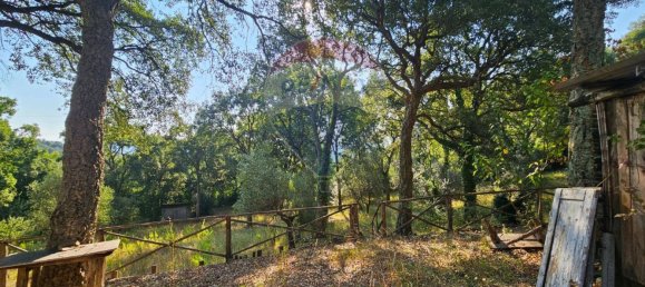 1 bedroom House in Sassetta, Italy No. 346088 14