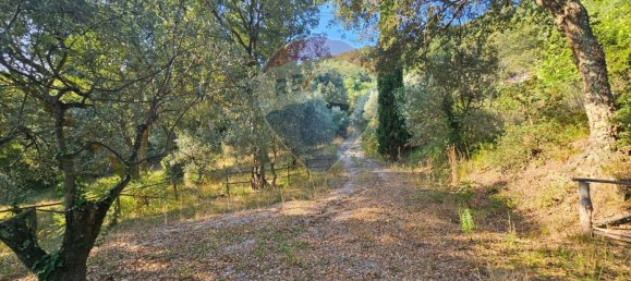 1 bedroom House in Sassetta, Italy No. 346088 15