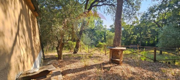 1 bedroom House in Sassetta, Italy No. 346088 7