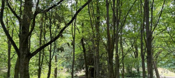 Apartamento de 3 dormitorios en Rudow, Germany No. 355012 20