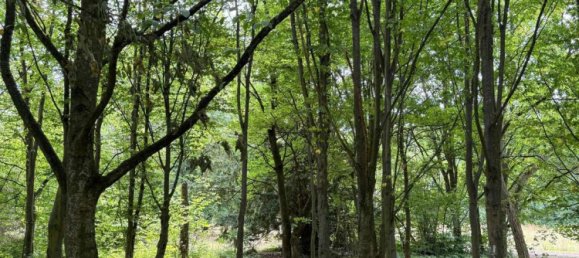 Apartamento de 3 dormitorios en Rudow, Germany No. 355012 23