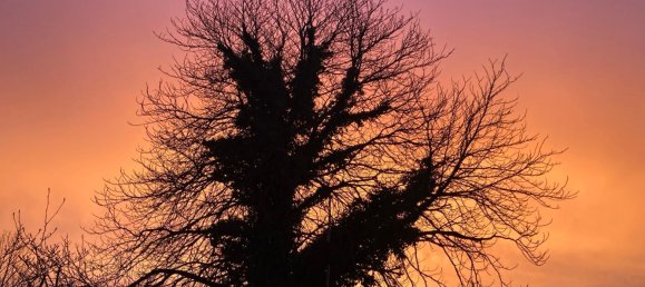 1 chambre Maison à Rosenthal, Germany No. 292851 12