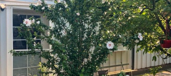 1 chambre Maison à Rosenthal, Germany No. 292851 16