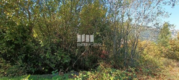 Terreno en Espadanedo, Portugal 3400 m² No. 50196 14