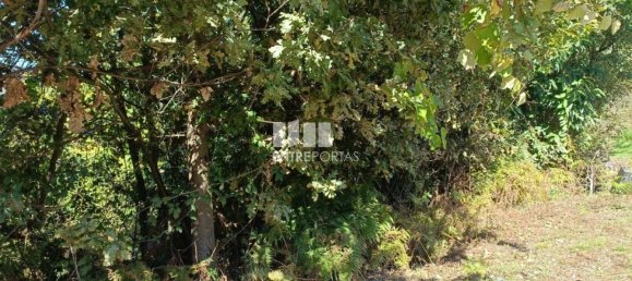 Terreno en Espadanedo, Portugal 3400 m² No. 50196 4