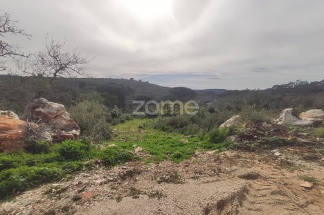 6530m² Land in Ansiao, Portugal No. 86060