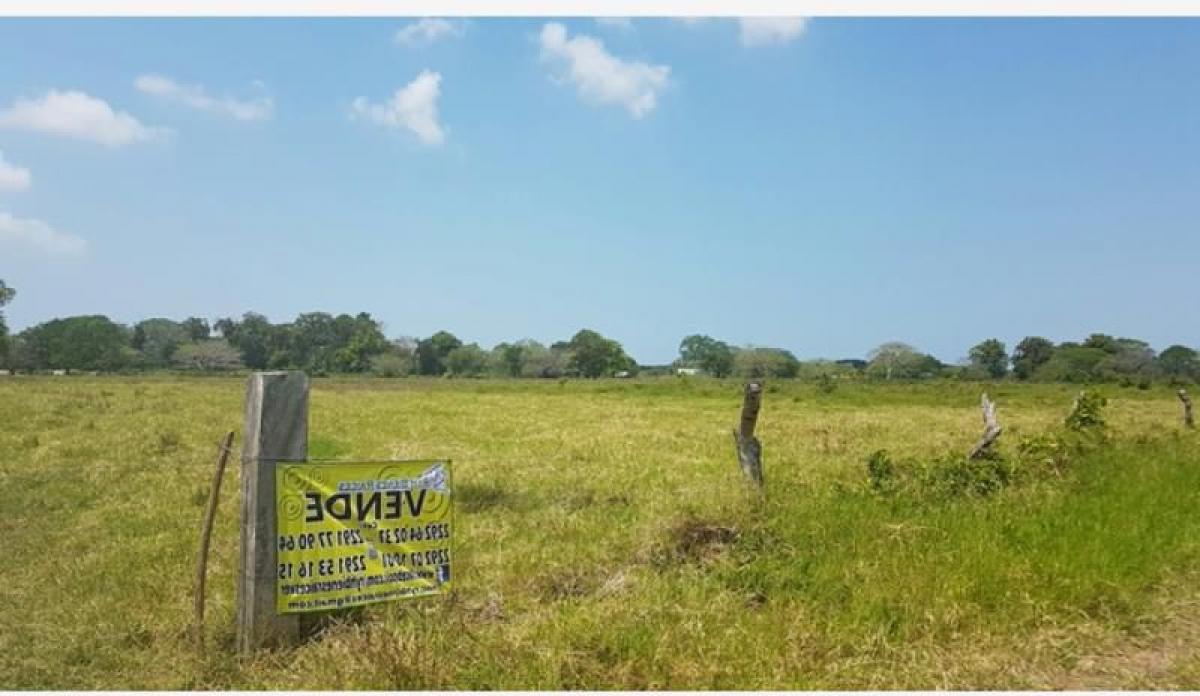 Grundstück in Veracruz, Mexico, Nr. 203612