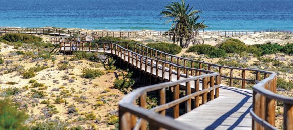 3 bedrooms Penthouse in Monforte del Cid, Spain No. 14911 23